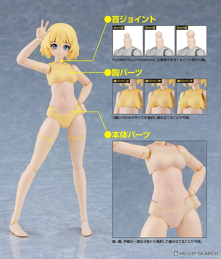 <Preorderถึง 15/8/2025>เปิดรับPreorder มัดจำ 200 บาท PLAMATEA Muse Body: Ichika B Type