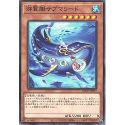 BACH-JP027 Submareed Tour Ride