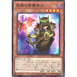 BACH-JP024 Skilled Brown Magician