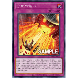 POTE-JP070 Branded Separation