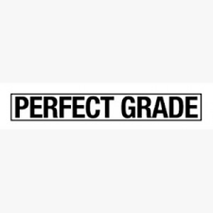 Perfect Grade (PG) 1/60
