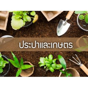 ประปาและเกษตร