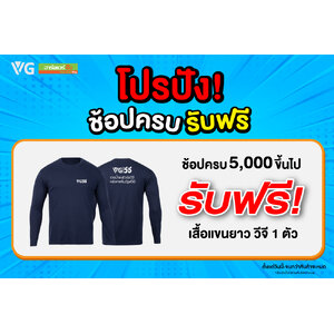 VG โปรปัง ช้อปครบ รับฟรี