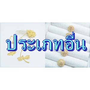 สินค้าประเภทอื่น