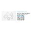 Anesthesia masks : Silicone