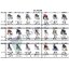 รถเข็นคนไข้ Wheel Chair ยี่ห้อ FOSUN (สอบถามราคา)