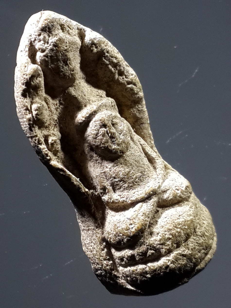 รหัสสินค้า พระไม่ทราบที่ 323 พระนาคปรก เนื้อผงผสมว่านลอยองค์ ไม่ทราบที่