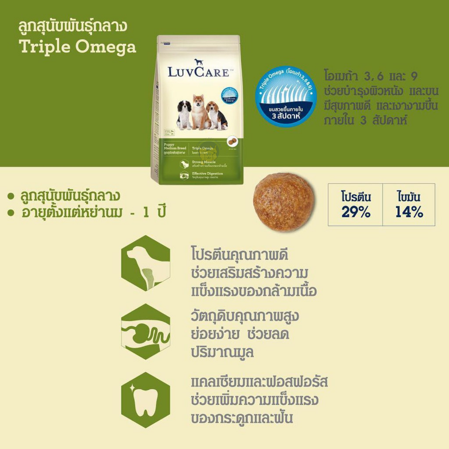 LuvCare Puppy Medium Breeds Triple Omega เลิฟแคร์ อาหารเม็ดสูตรลูกสุนัข พันธุ์ขนาดกลาง สูตรทริปเปิ้ลโอเมก้า บำรุงขนสวย เงางาม
