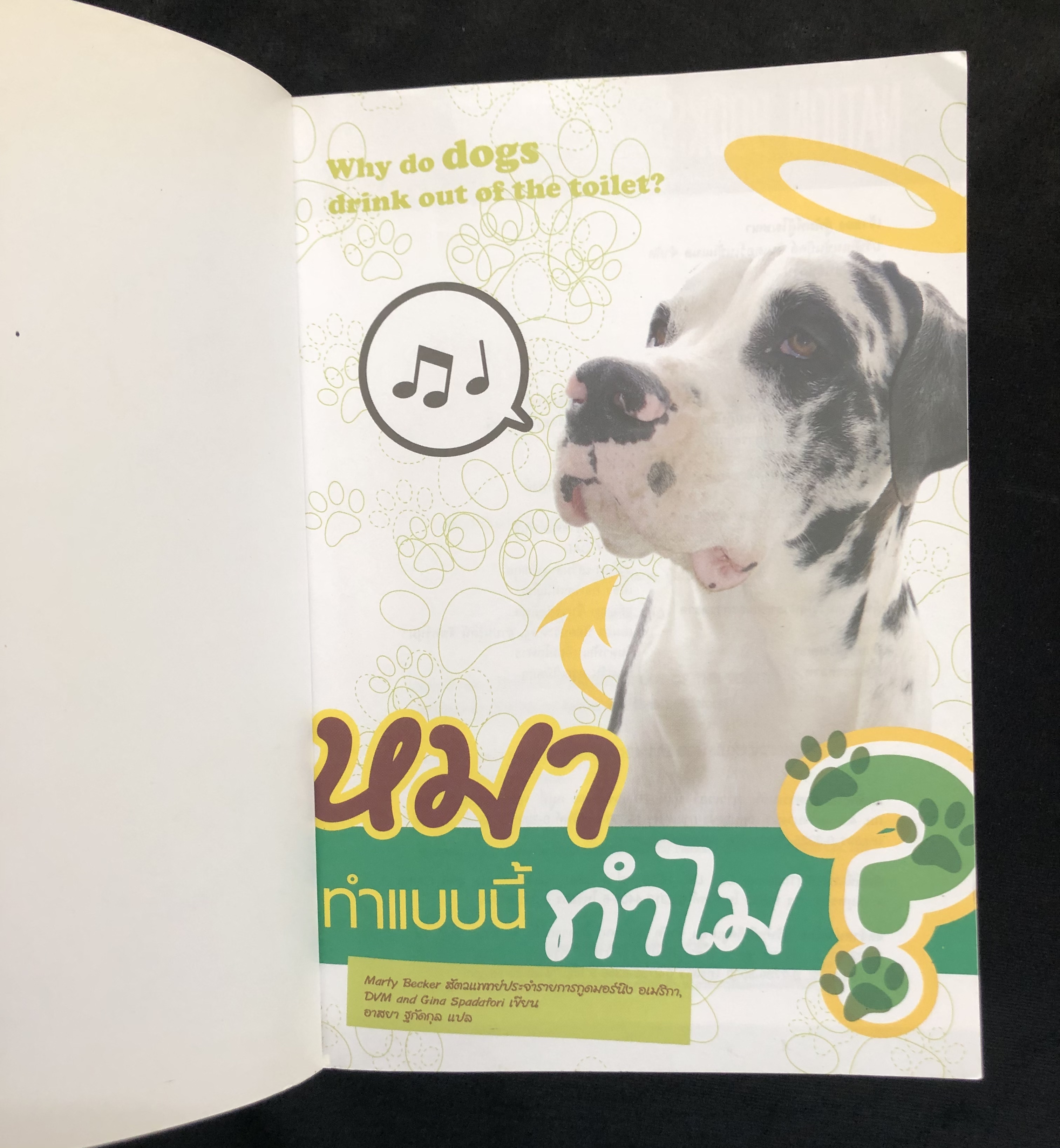 หมาทำแบบนี้ทำไม