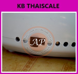 เครื่องนวดหน้าไครโอเย็นมือถือ Spa Beauty Transmit