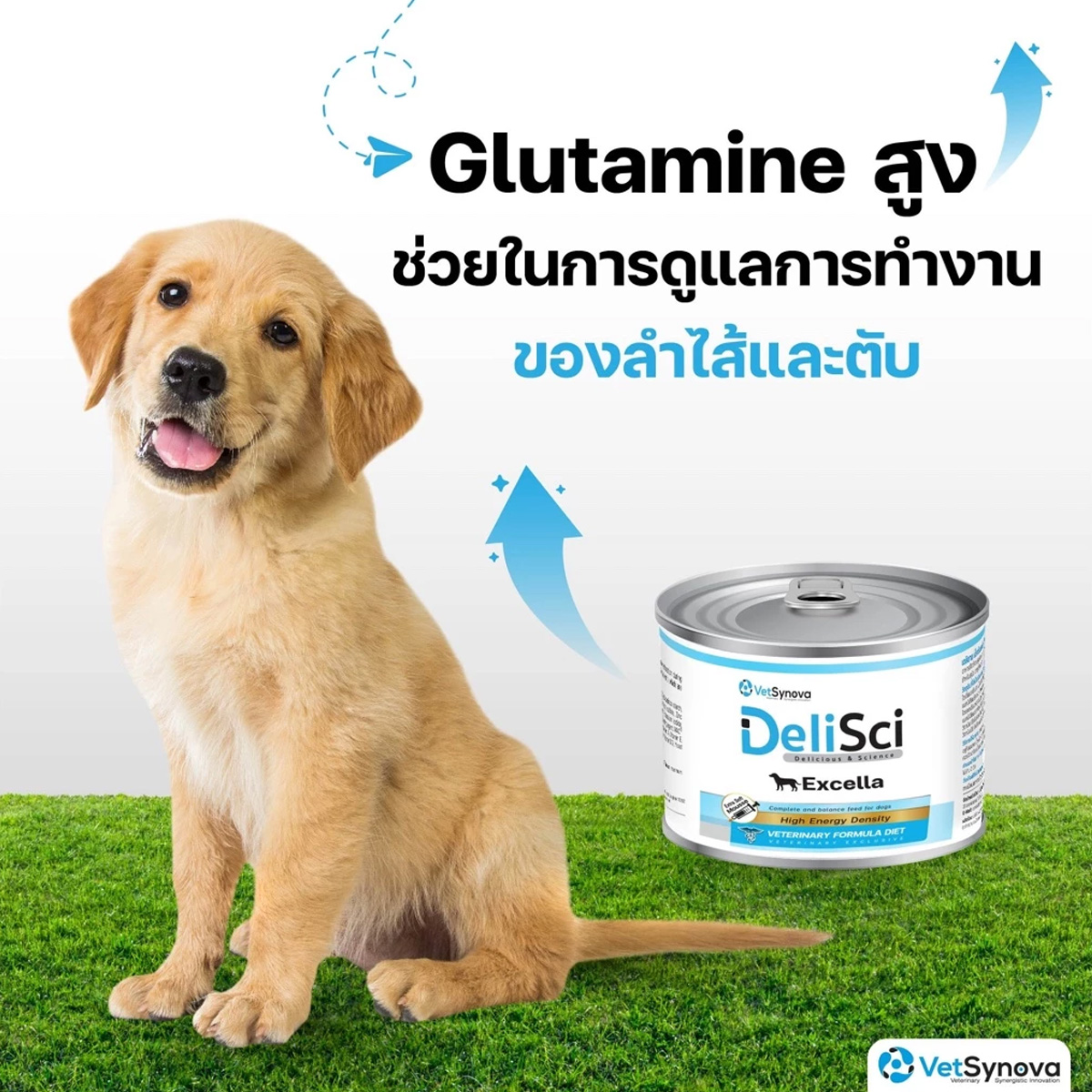 DeliSci : Excella อาหารฟื้นฟูสําหรับสัตว์ป่วย ขาดสารอาหาร และพักฟื้นหลังการผ่าตัด ที่ต้องการพลังงานสูง ขนาด 185g