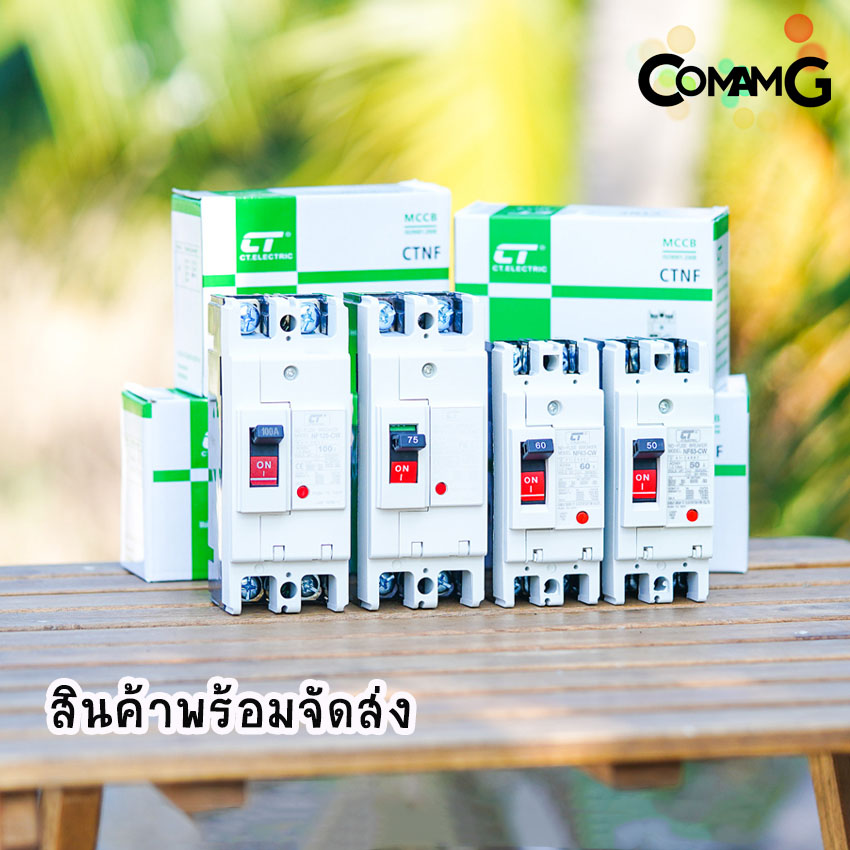 CT Electric เบรกเกอร์ โมเคสเมนเบรกเกอร์ 2เฟส No Fuse Breaker