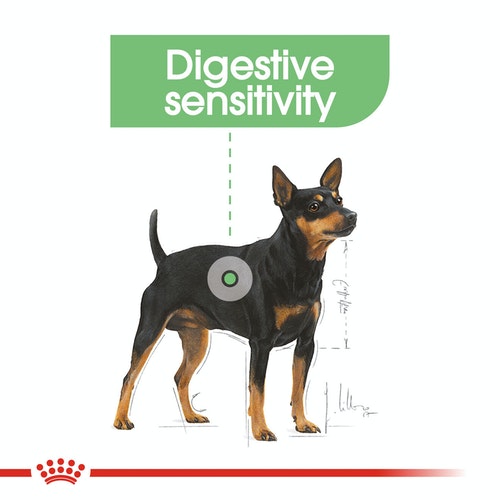 Royal Canin Digestive Care Loaf สำหรับสุนัขโต ทุกขนาด ที่มีปัญหาระบบย่อยอาหาร