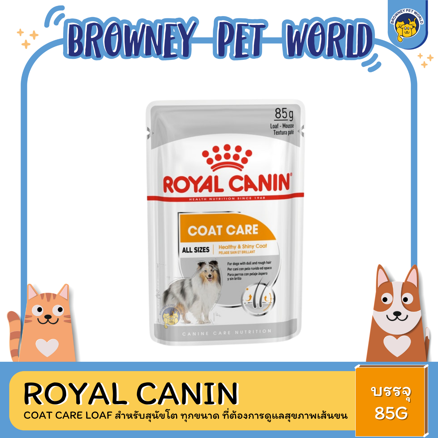 Royal Canin Coat care Loaf สำหรับสุนัขโต ทุกขนาด ที่ต้องการดูแลสุขภาพเส้นขน