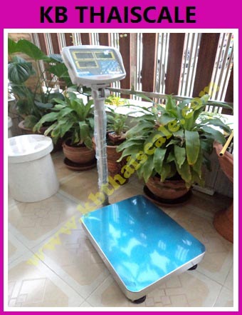 ตาชั่งดิจิตอล เครื่องชั่งบับจำนวน ตาชั่งนับจำนวน60kg ค่าละเอียด 5 กรัม (0.005 กิโลกรัม) ยี่ห้อTSCALE รุ่น CKC-Series ขนาด แท่น40*50cm ผลิตภัณฑ์จากประเทศไต้หวัน