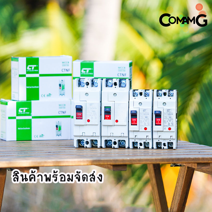CT Electric เบรกเกอร์ โมเคสเมนเบรกเกอร์ 2เฟส No Fuse Breaker