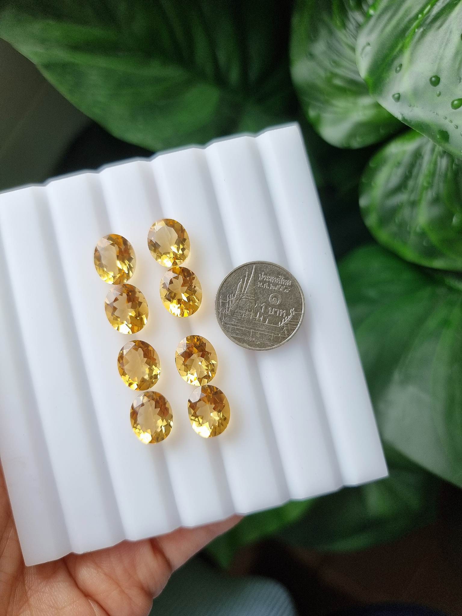 ซิทรินเข้มไข่ 9X11 มม. 1 เม็ด