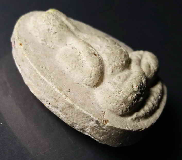 รหัสสินค้า พระปิดตา ทั่วไป 060 พระปิดตาเนื้อผง หลวงปู่แสง ปริปุณโณ พระรายการนี้ให้เช่าบูชาแล้ว