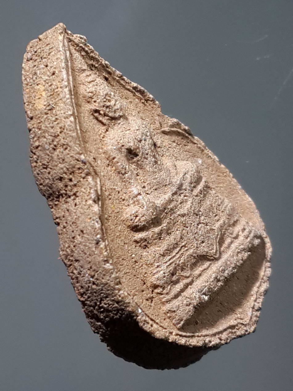 รหัสสินค้า พิจิตร 038 พระกลีบบัวเนื้อผงผสมว่าน พิมพ์พระพุทธ หลวงพ่อลือ วัดวังกลม จังหวัดพิจิตร พระรายการนี้ให้เช่าบูชาแล้ว