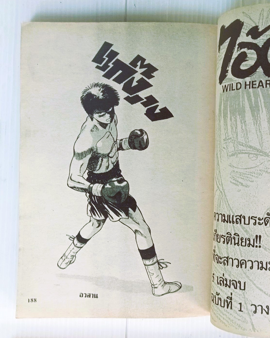 ไอ้ตัวแสบ