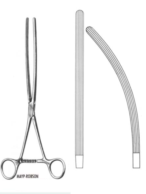 Forceps Intestinal Clamp MAYO-ROBSON