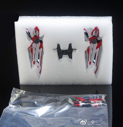 [MC] CALETVWLCH for Red Frame 1/100 (2Set)