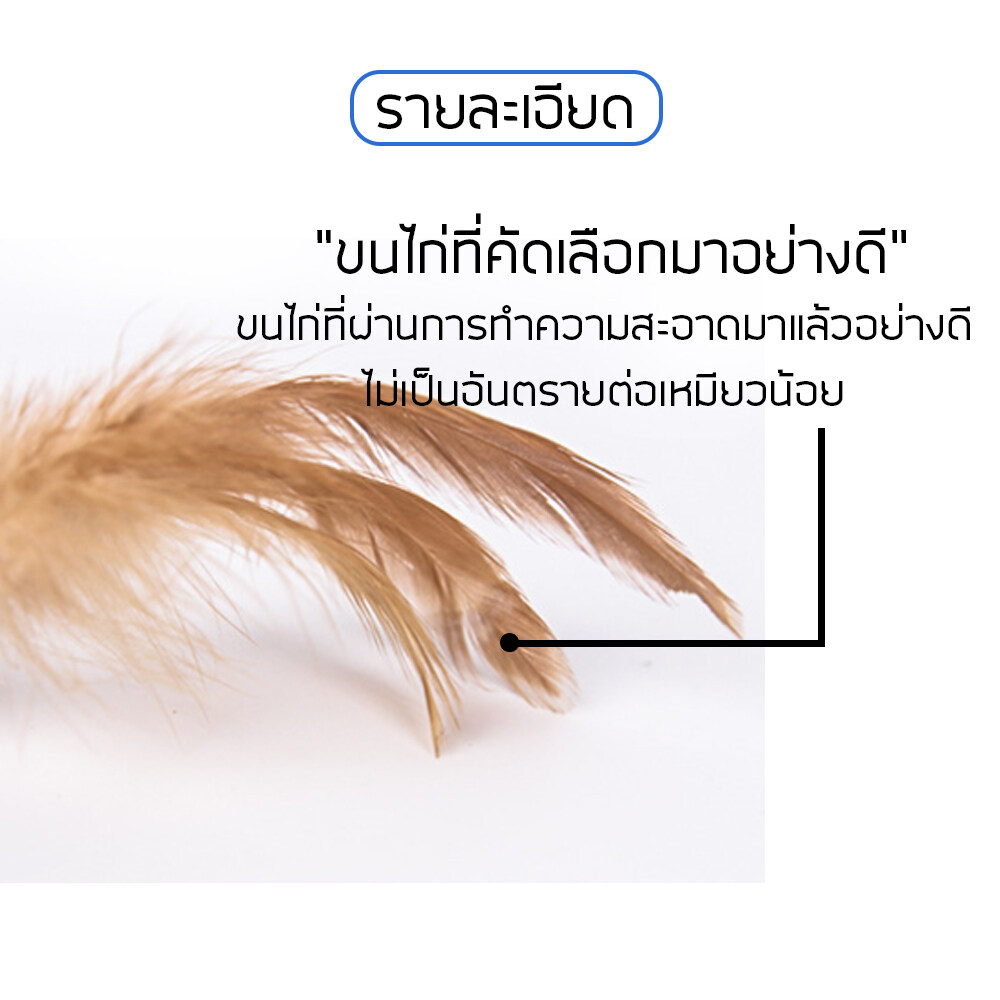 1ฟรี1 ไม้ล่อแมว ไม้ตกแมว เป็นของเล่นสำหรับแมวฝึกทักษะ ในการกระโดดและเคลื่อนไหว