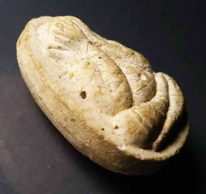 รหัสสินค้า พระปิดตา ทั่วไป 057 พระปิดตาเนื้อผงโรยเส้นเกศา พระราชสิงโห วัดศรีวรรณาราม จ.นครสวรรค์