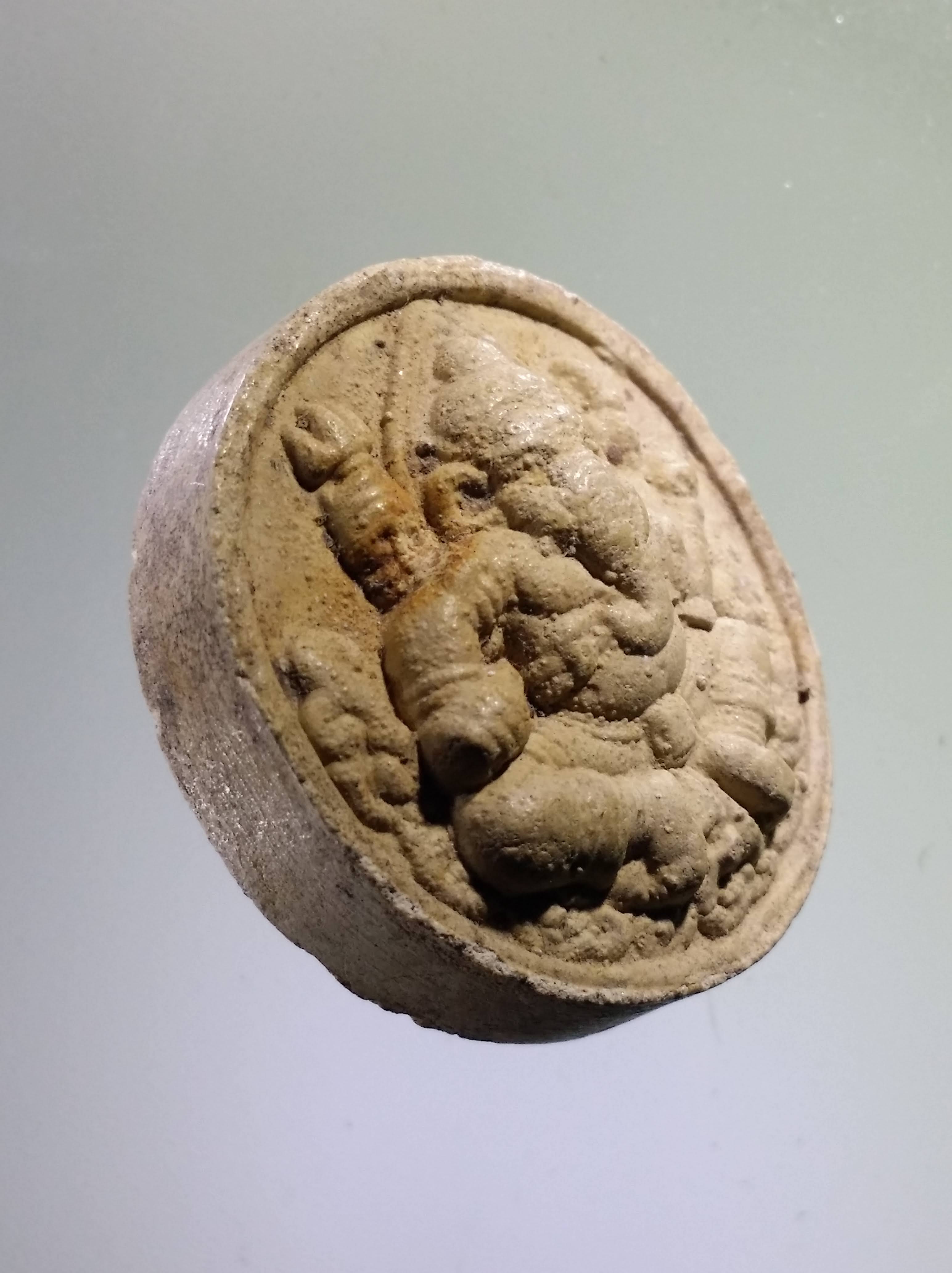 รหัสสินค้า จตุคามรามเทพ 468 พระเทวราชโพธิสัตว์จตุคามรามเทพ - พระพิฆเณศวรเทพเจ้าแห่งความสำเร็จ เนื้อว่านขาวพิมพ์เล็ก ไม่ทราบรุ่น กล่องหาย