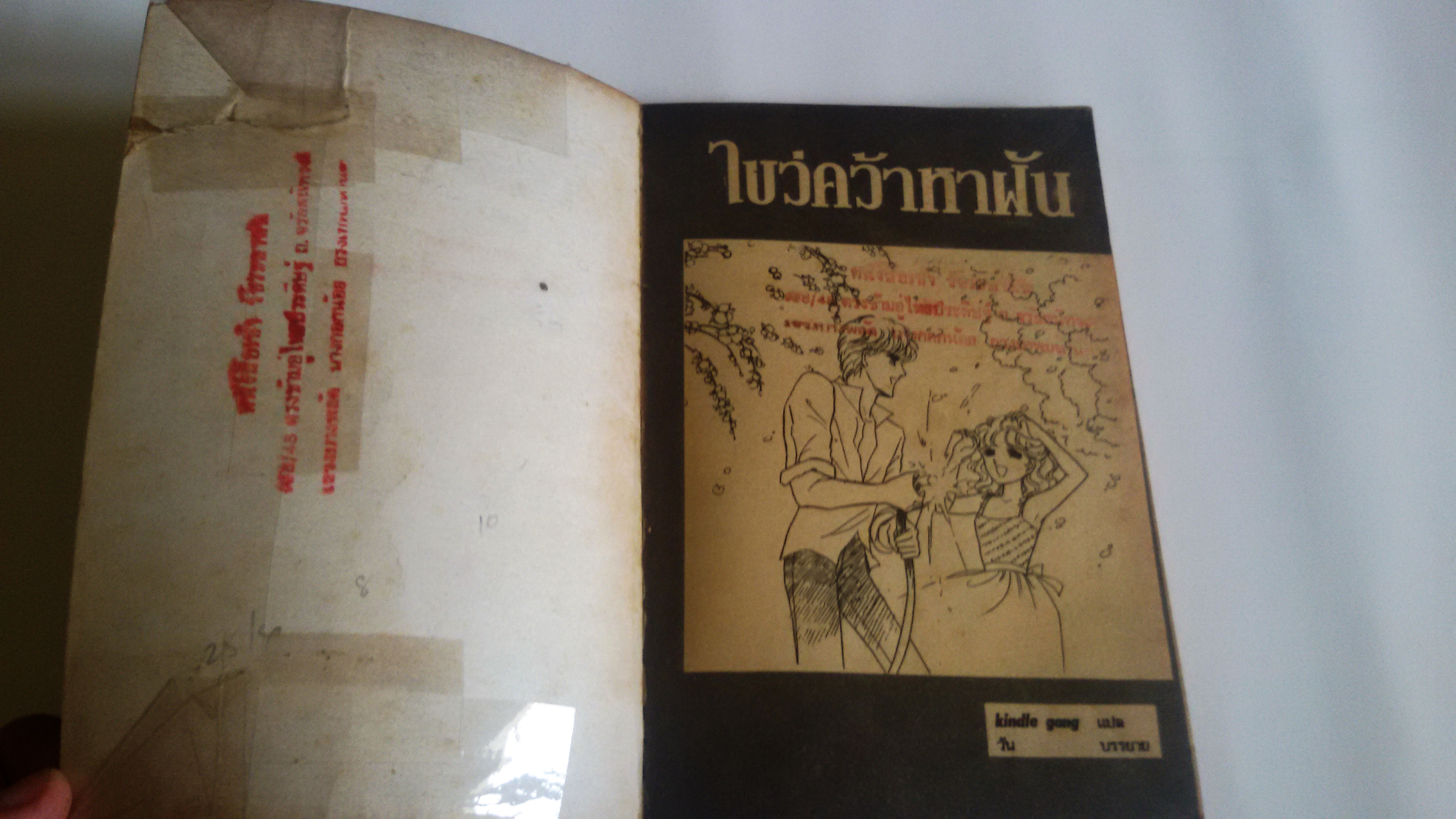 ไขว่คว้าหาฝัน(เล่มเดียวจบ)