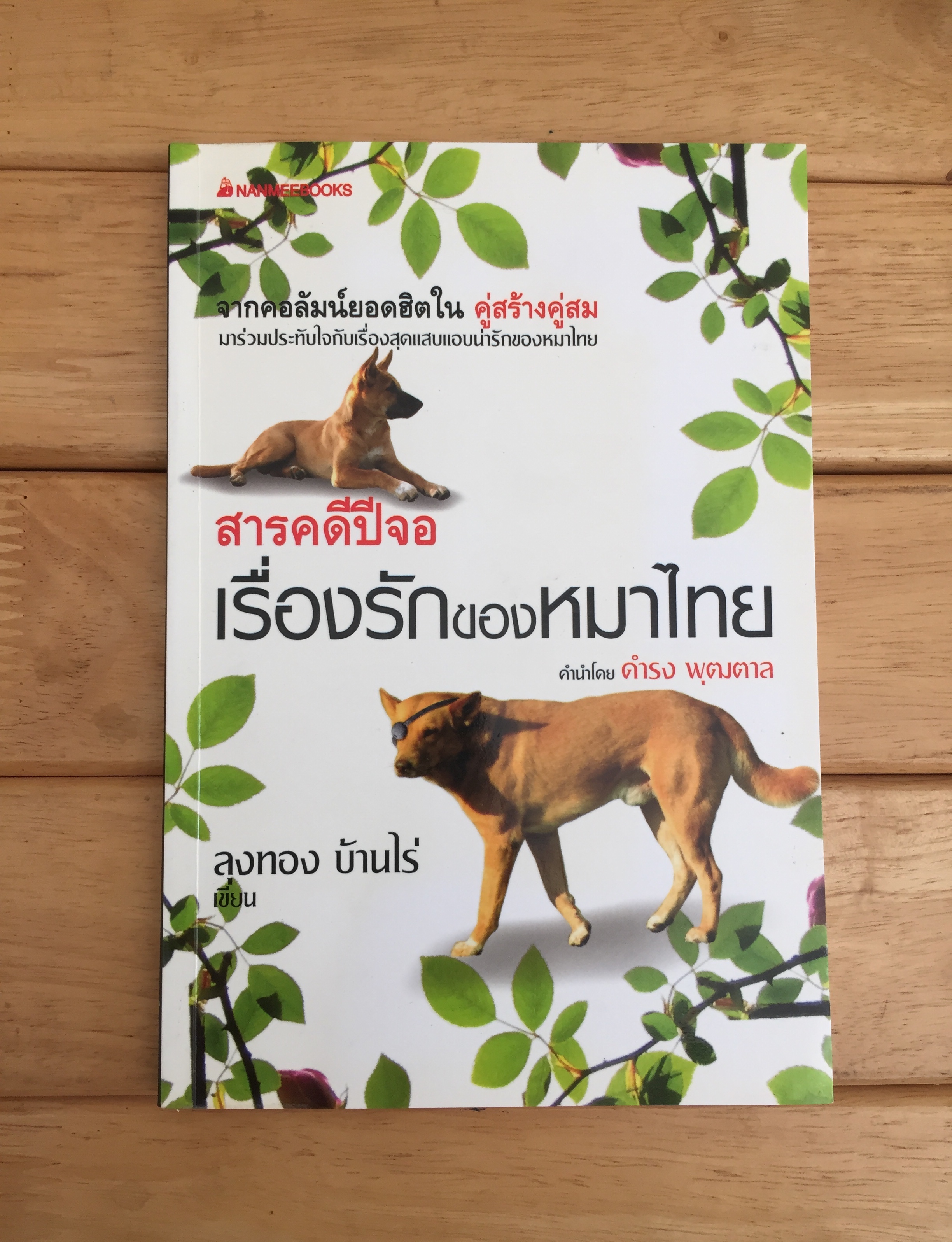 เรื่องรักของหมาไทย