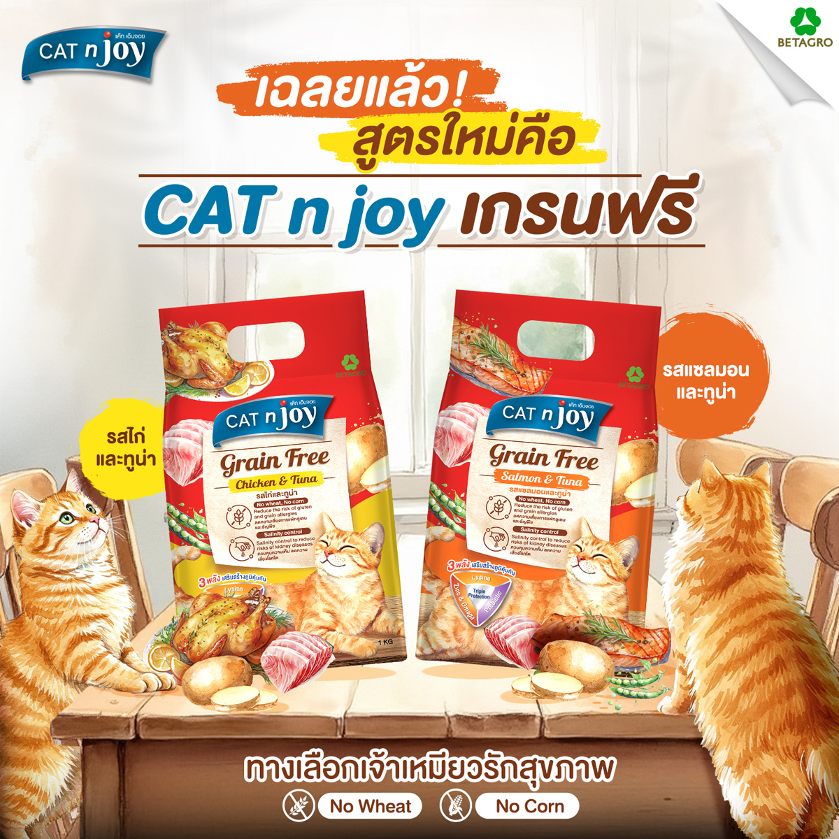 CAT n joy Grainfree แค็ท เอ็น จอย อาหารแมวโต สูตรแกรนฟรี ขนาด 1 kg