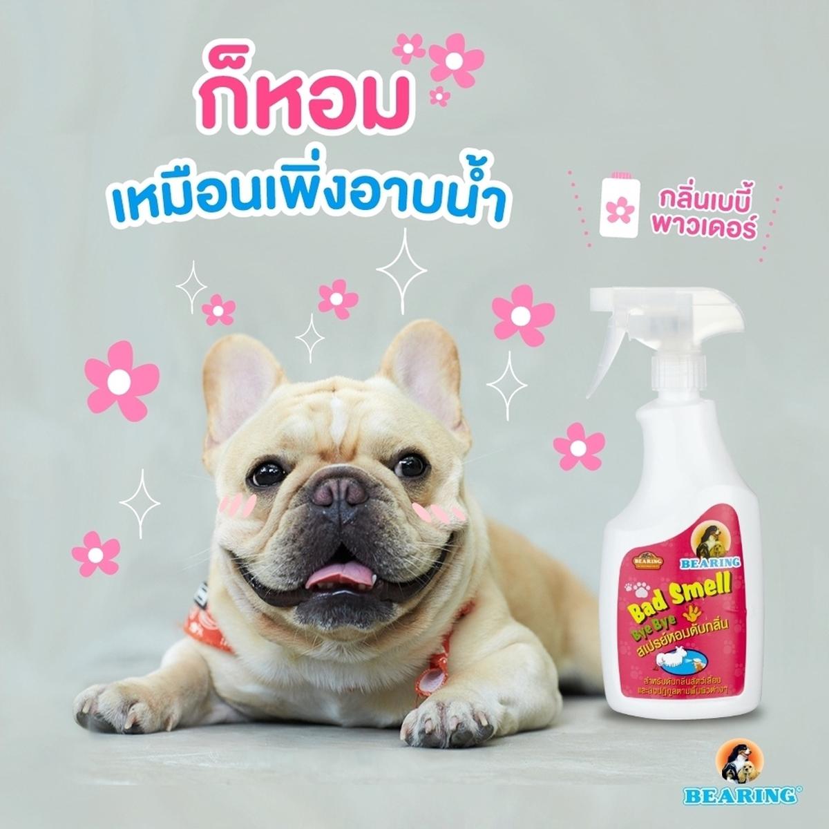 BEARING Bad Smell Bye Bye Spray แบร์ริ่ง แบดสเมล บ้ายบาย สเปรย์หอมดับกลิ่นสัตว์เลี้ยง ขนาด 600 ML