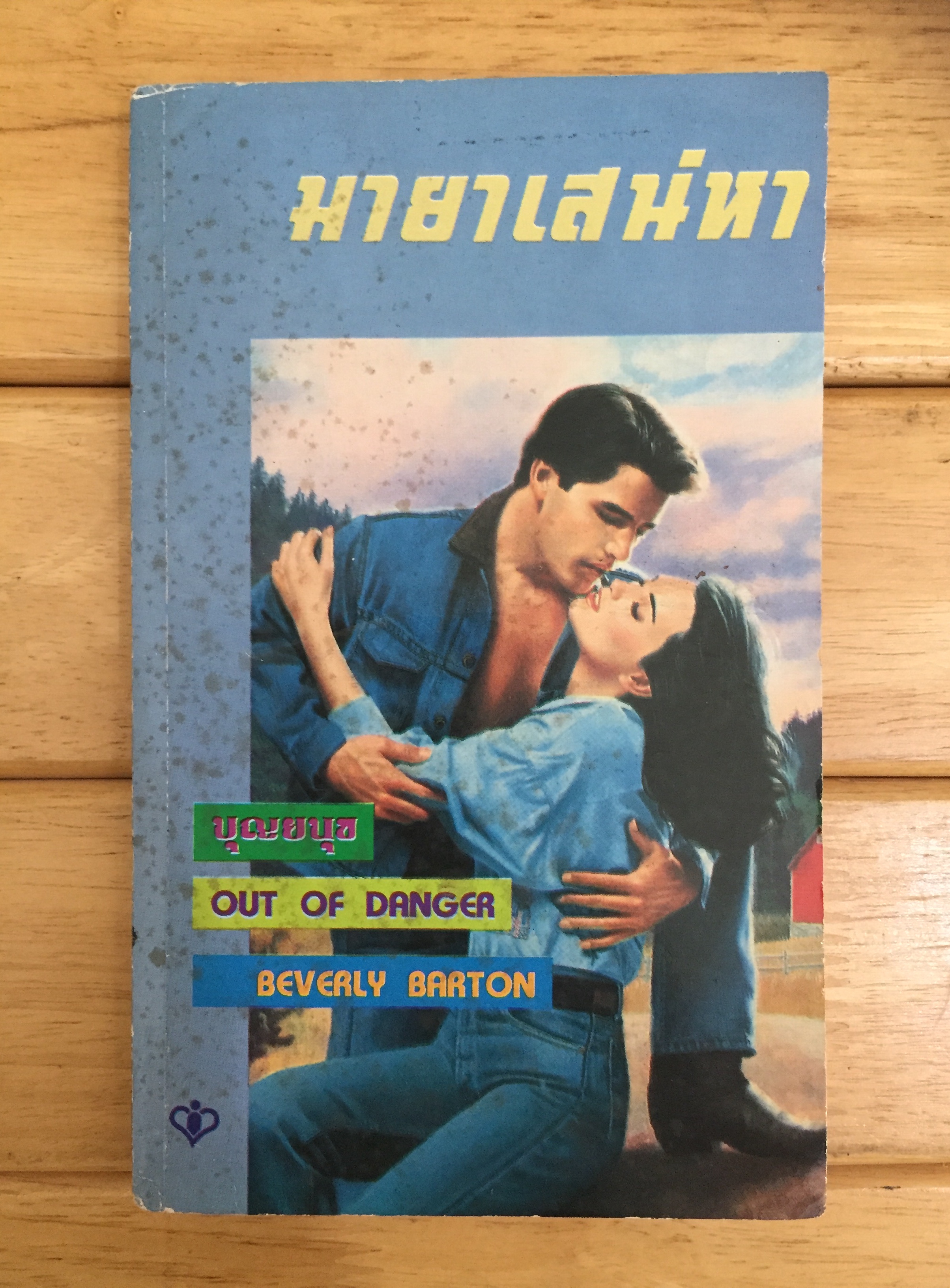 มายาเสน่หา (Out of Danger)