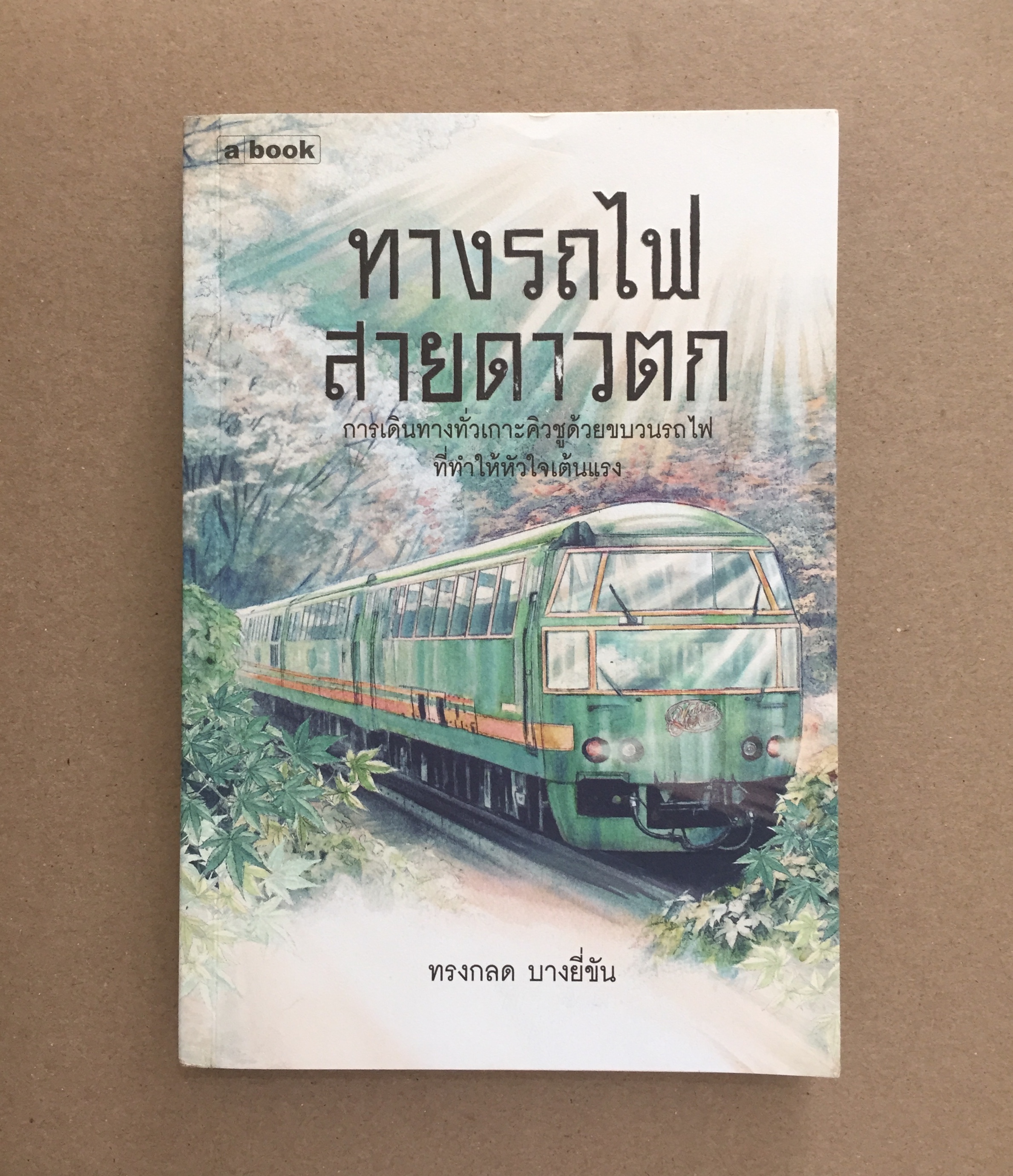 ทางรถไฟสายดาวตก