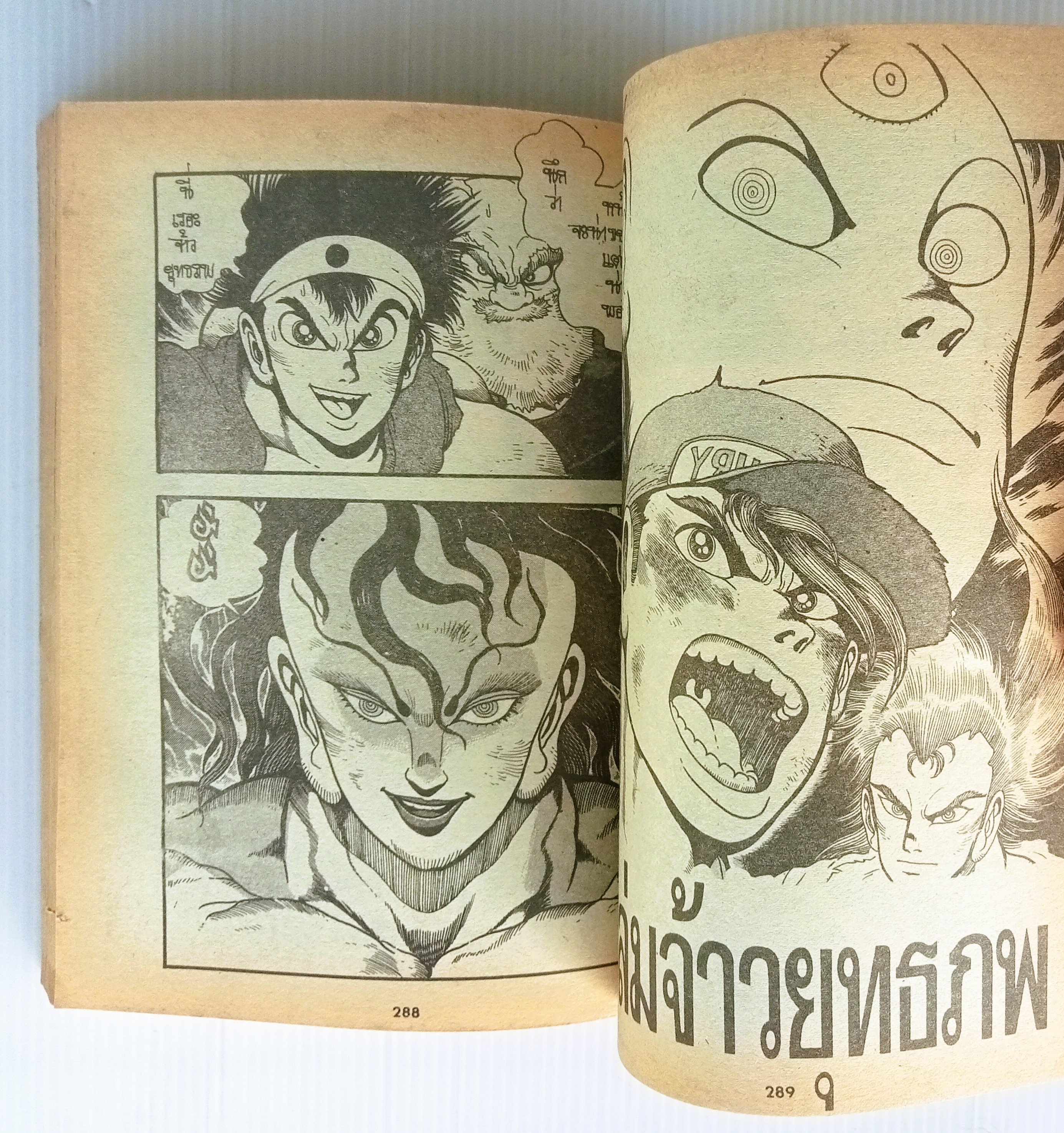 ถล่มจ้าวยุทธภพ (อิชิคาว่า เค็น)