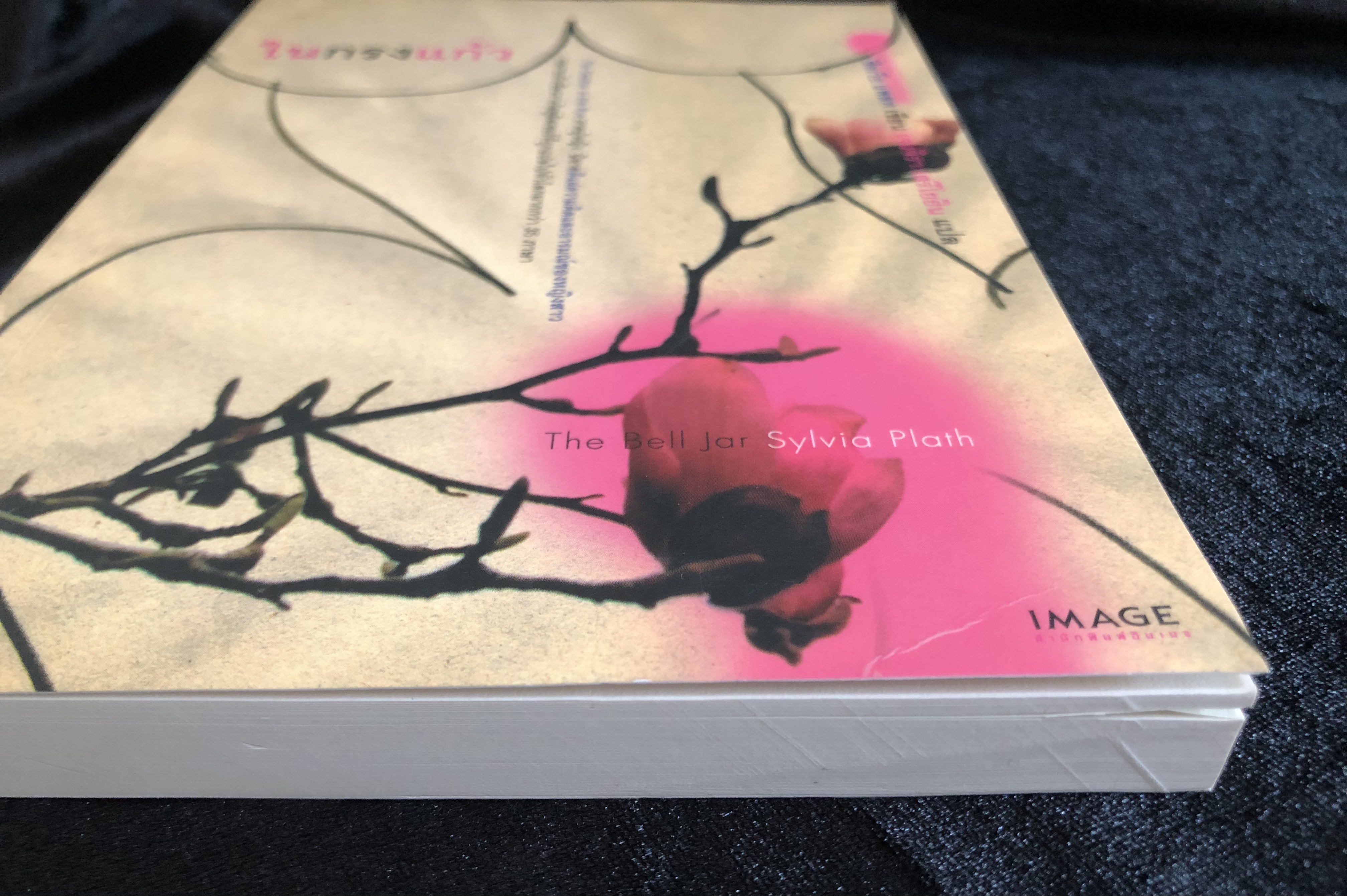 ในกรงแก้ว The Bell Jar - ซิลเวีย แพลท
