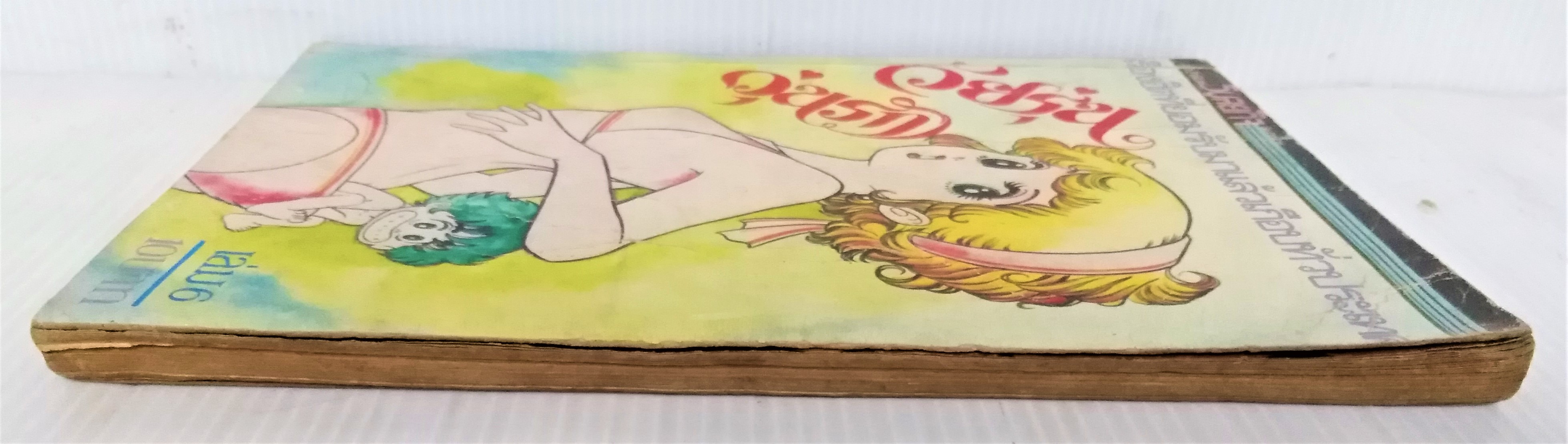 วัยรุ่นวุ่นรัก เล่ม 6