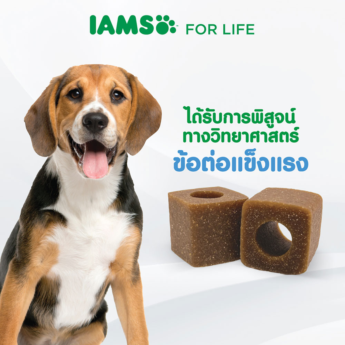 IAMS ไอแอมส์ อาหารเสริมสุนัข - อาหารเสริมเคี้ยวได้ ขนาด 168 G