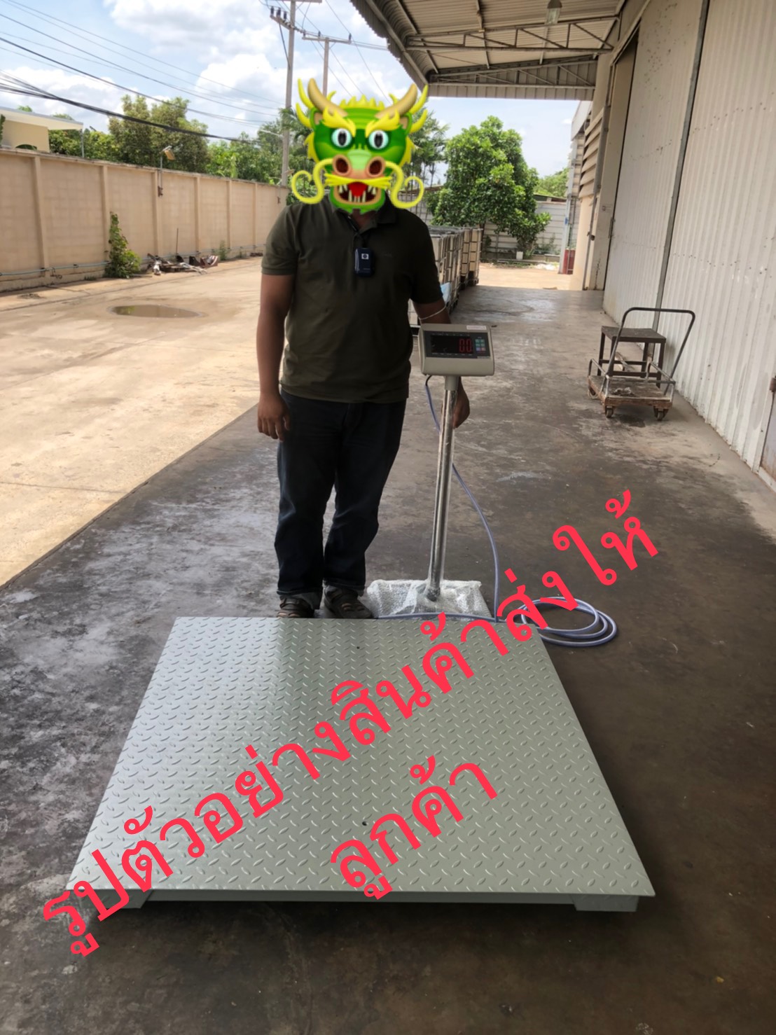 ตาชั่งดิจิตอล เครื่องชั่ง2ตัน เครื่องชั่งน้ำหนักดิจิตอล2ตัน เครื่องชั่งน้ำหนัก2000กิโล เครื่องชั่งตั้งพื้น2000Kgละเอียด200g ZEPPERT7E-FW1010-2000 (ผ่านตรวจ สอบถามเพิ่มเติม)