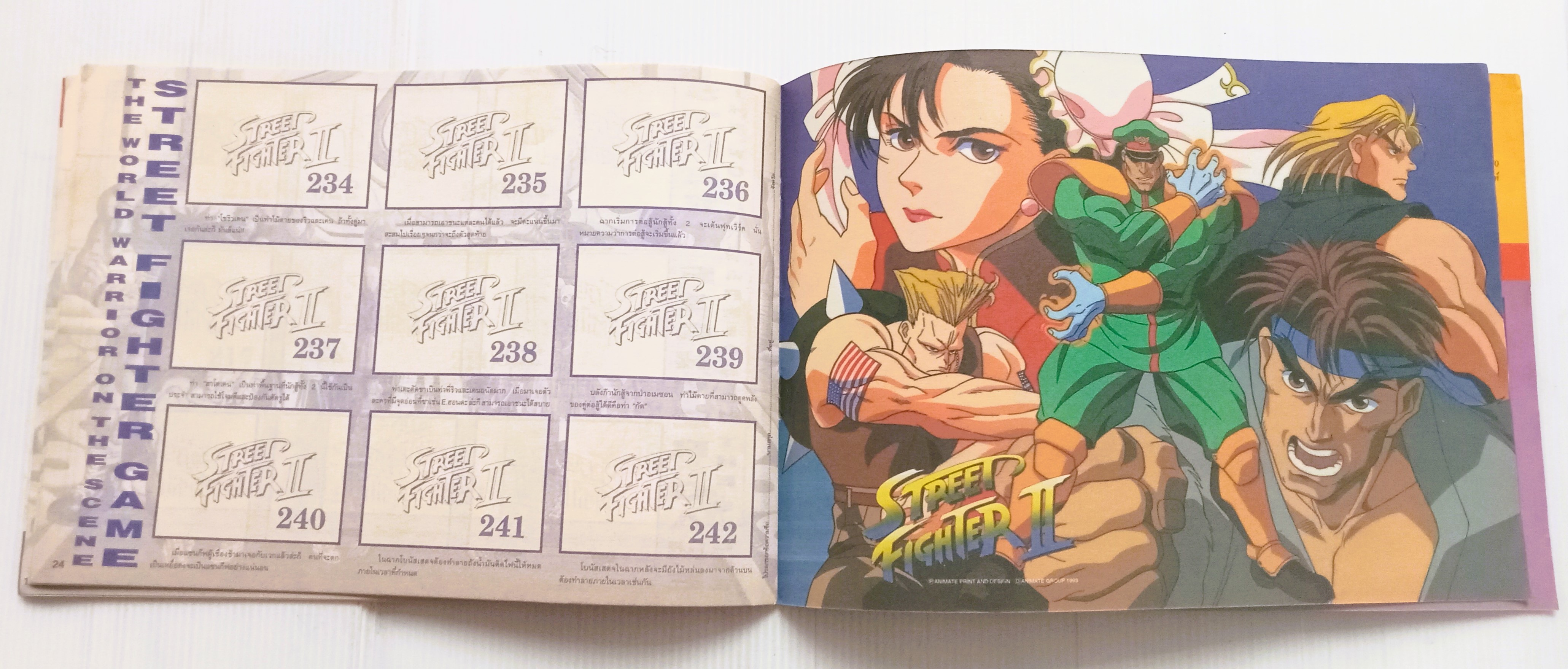 สมุดสะสมสติ๊กเกอร์ Street Fighter (เล่มเปล่า)
