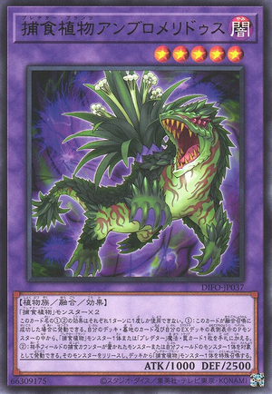 DIFO-JP037 Predaplant Ambulomelioides [R]