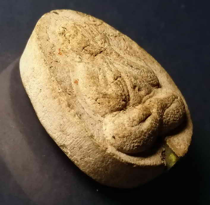 รหัสสินค้า ลพบุรี 029 พระปิดตาเนื้อผงฝังตะกรุด หลวงปู่บุญตา วัดคลองเกตุ จ.ลพบุรี พระรายการนี้ให้เช่าบูชาแล้ว