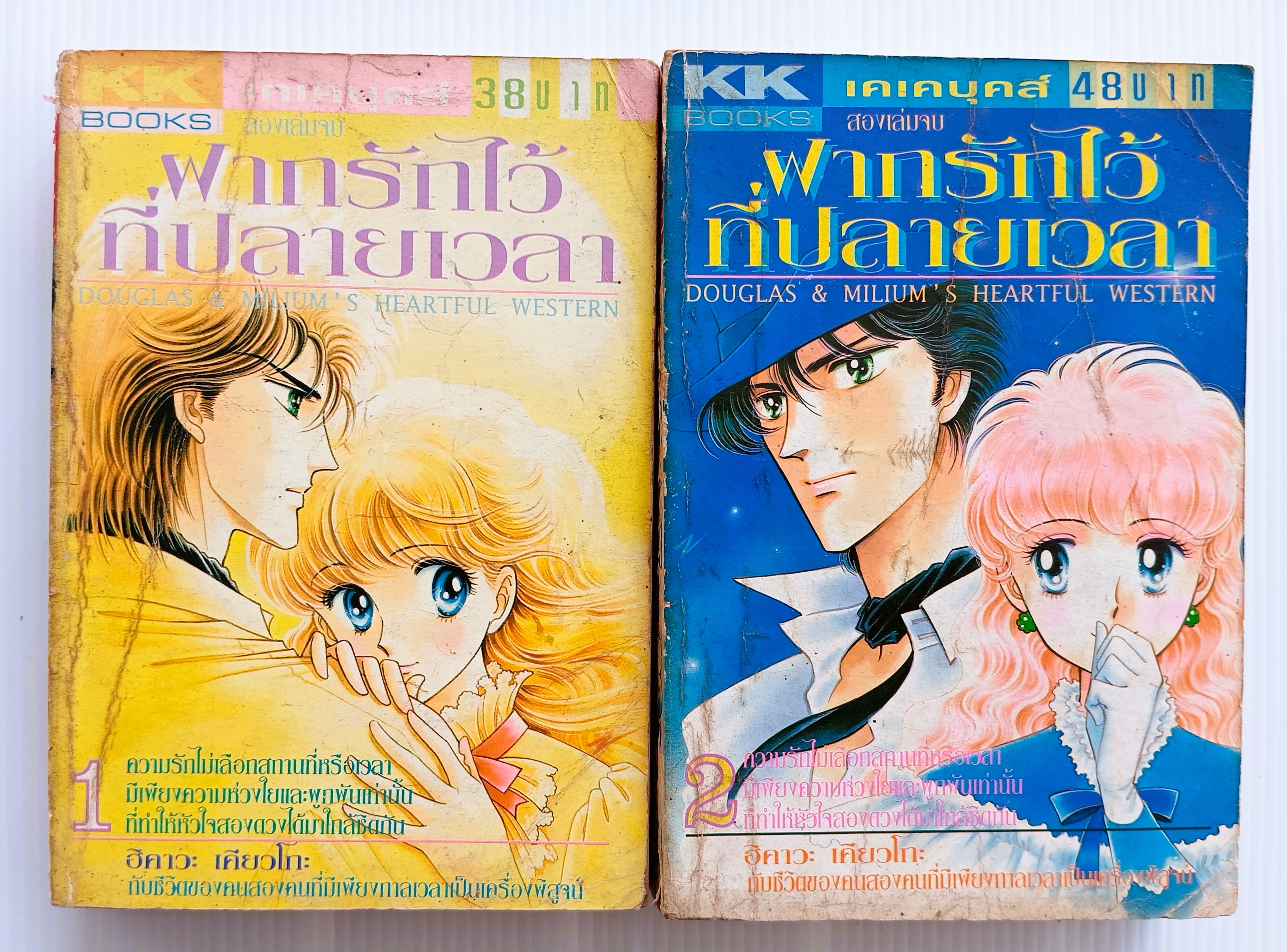 ฝากรักไว้ที่ปลายฟ้า