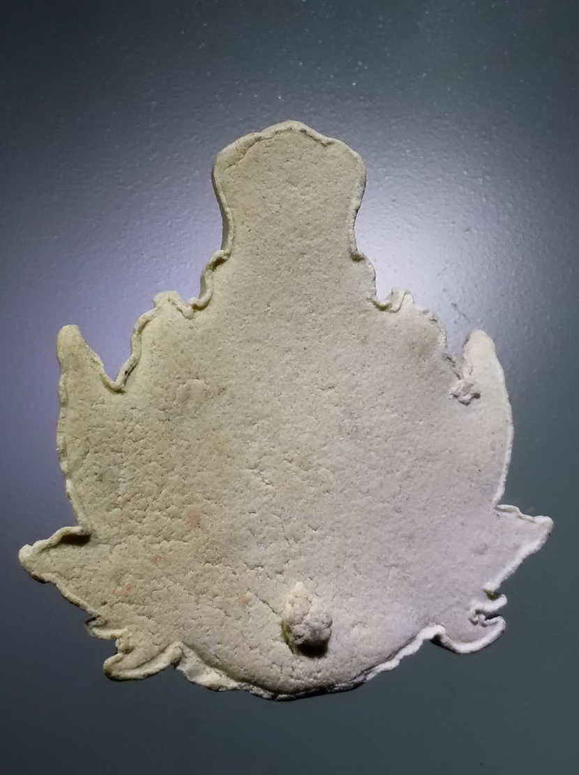 รหัสสินค้า พระไม่ทราบที่ 534 เศียรพ่อแก่เนื้อผง หลังเรียบ ไม่ทราบที่