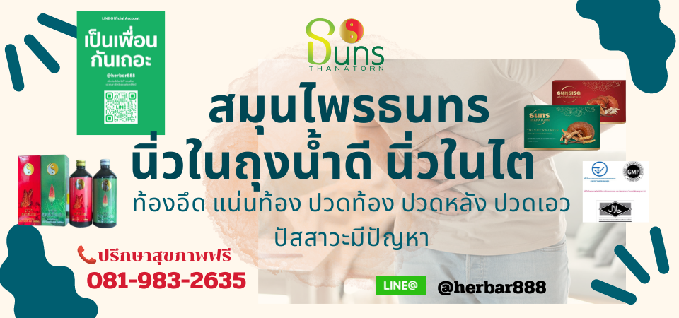 สมุนไพรธนทร นิ่วในไต นิ่วในถุงน้ำดี