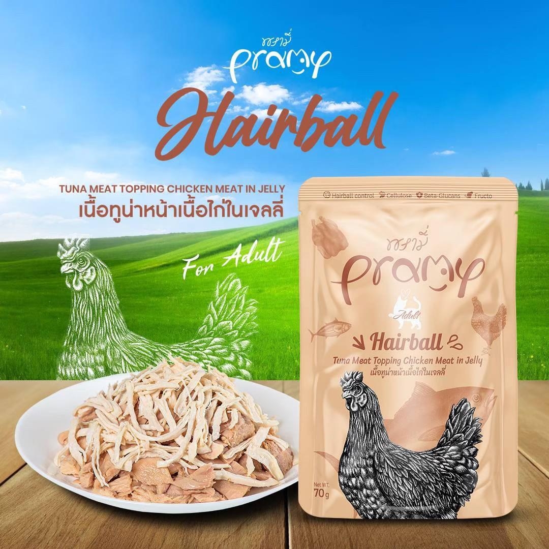 PRAMY พรามี่ อาหารเปียกแมว สูตรใหม่ ขนาด 70 กรัม (โหล 12 ซอง)