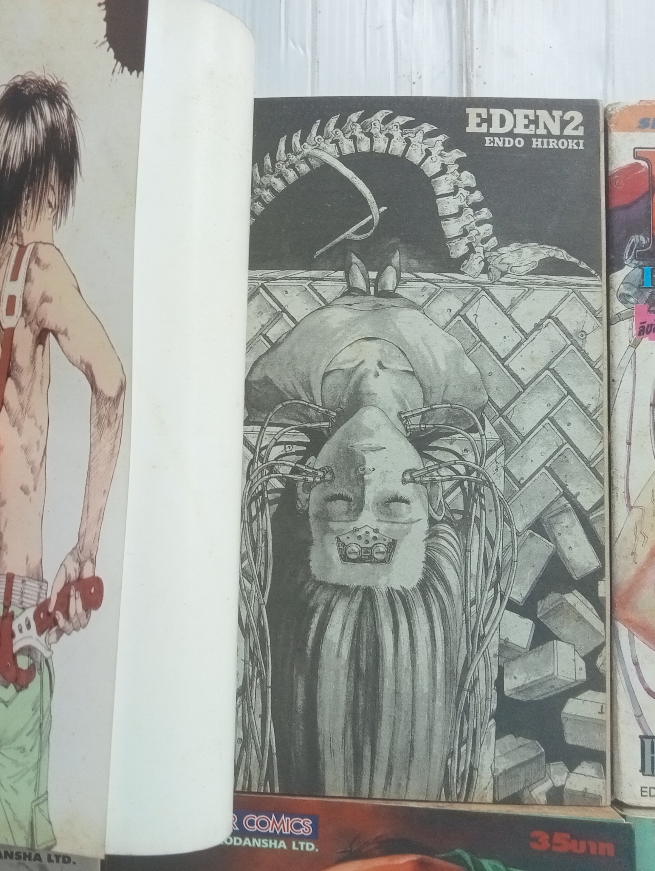 EDEN It's an endless world