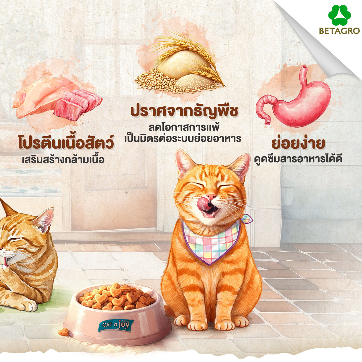 CAT n joy Grainfree แค็ท เอ็น จอย อาหารแมวโต สูตรแกรนฟรี ขนาด 1 kg