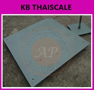 เครื่องชั่ง5000กิโลกรัม เครื่องชั่งน้ำหนัก5ตัน เครื่องชั่งวางพื้น5000kg ตาชั่ง5000kg CAS CI200A-5T ละเอียด500g ขนาดแท่นชั่งน้ำหนัก200x200cm.(MADE IN KOREA)